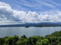 -浔味·山屿湖·正宗淳牌全鱼宴老字号
