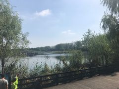 -溱湖国家湿地公园