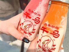 -鹤茶野所(上海首店)