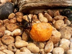 -上海昆虫博物馆