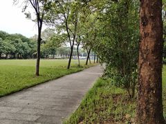 -华南师范大学(广州大学城校区)