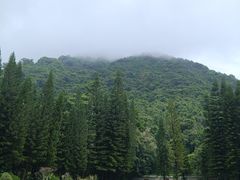 -深圳仙湖植物园