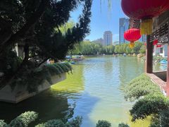 -团结湖公园