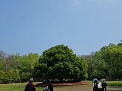 -灵谷景区