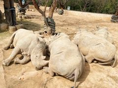 -西安秦岭野生动物园