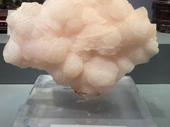 -湖南省地质博物馆