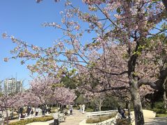 -新江湾城公园