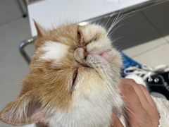 -怪兽屋·羊驼·猫咖·狗咖(俊华广场店)