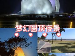 -野狸岛