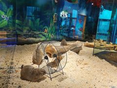 -昆明大悦城未来动物城(螺蛳湾中心店)