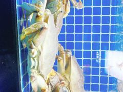 -徽三说·土徽菜·中国徽菜连锁品牌(一中店)