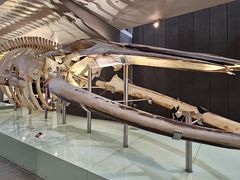 -墨尔本博物馆(Melbourne Museum)