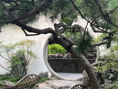 -耦园