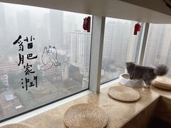 -Catmate·猫肥家润(金润铂宫店)
