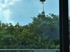 -蟹老板的海鲜