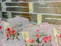 -苏州湾梦幻水世界