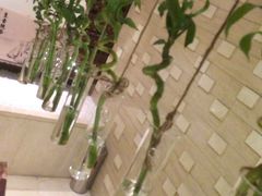 -果裹水汇(帅府店)