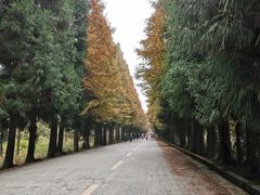 -山王坪喀斯特国家生态公园