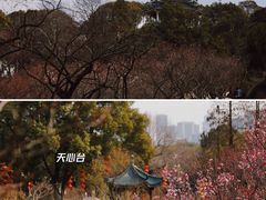 -无锡梅园公园