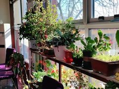 -北京龙庆四季香农家饭庄·灶台鱼·碳烤虹鳟鱼(龙庆峡店)