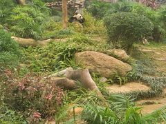 -石排湾郊野公园