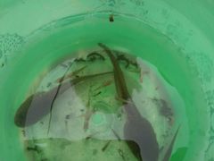 -三圣花乡旅游区