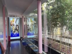 -爱儿美儿童摄影(朝阳公园店)