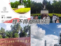-莲花山公园