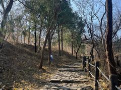 -阳台山自然风景区