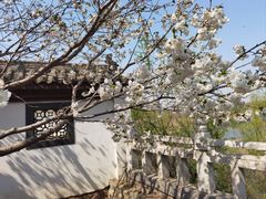 -樱花山风景区