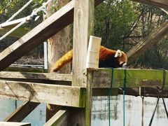 -无锡动物园·太湖欢乐园