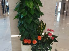 -华为授权体验店(近铁城市广场)