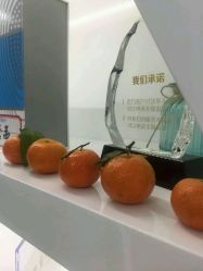 -芙贝佳禾·痘肌管理中心
