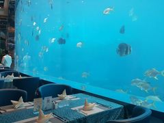 大堂-瑞德姆美人鱼海底演艺主题餐厅(亚龙湾店)