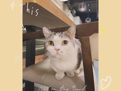 -IFIF 如果花園(宽厚里店)