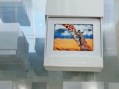 -罗红摄影艺术馆