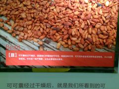 android_upload_pic-歌斐颂巧克力小镇