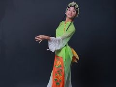-舞蕾舞蹈(特长生校区)