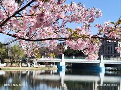 -新江湾城公园