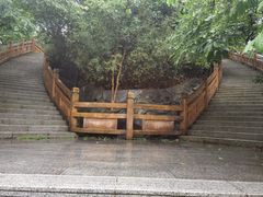 -大屏嶂森林公园