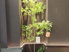 -滇铺子·云南特色菜·第九届野生菌美食节(曲靖万达店)