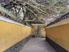 -普陀山慧济禅寺