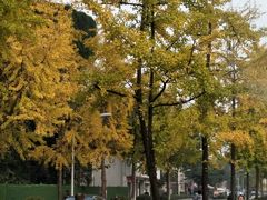-四川大学(望江校区)