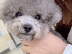 -美联众合动物医院·24h转诊中心