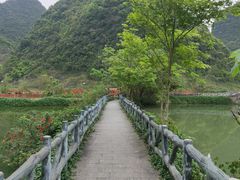 -靖西鹅泉风景区