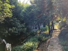 -九龙潭景区