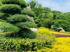 -西山漾湿地公园