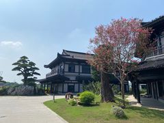 -龙天小镇