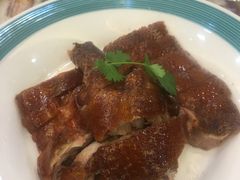 -椿记烧鹅(叠彩店)