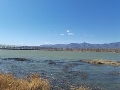 -野鸭湖国家湿地公园